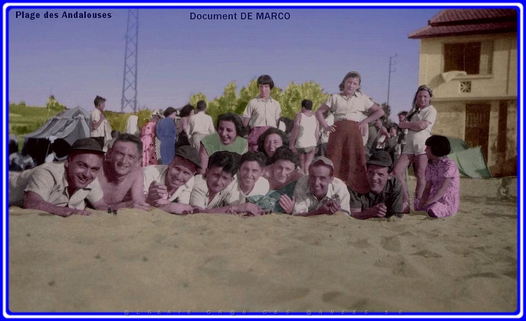 Oran- SDV- 3303- De Marco- Les Andalouses-.jpg